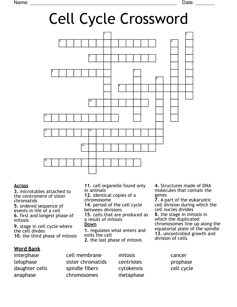 Cell Cycle Crossword 