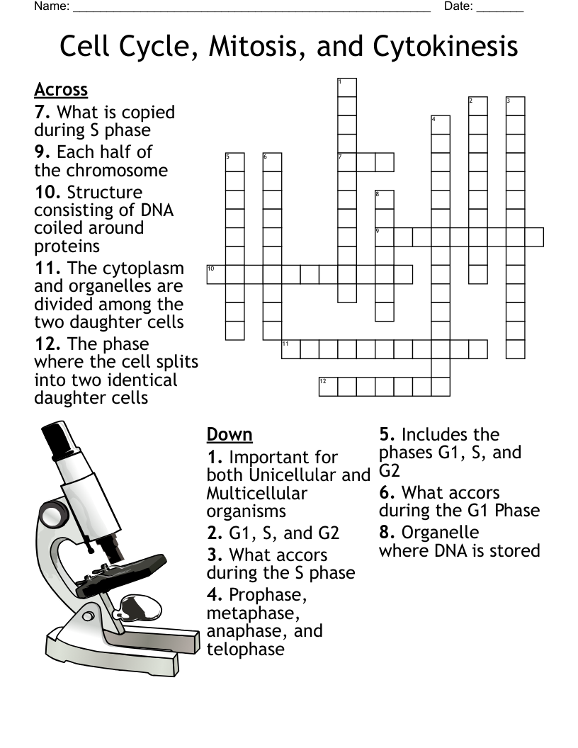 Cell Cycle, Mitosis, and Cytokinesis Crossword