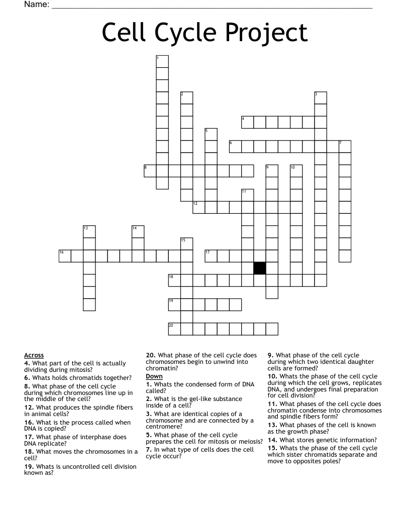Cell Cycle Project  Crossword