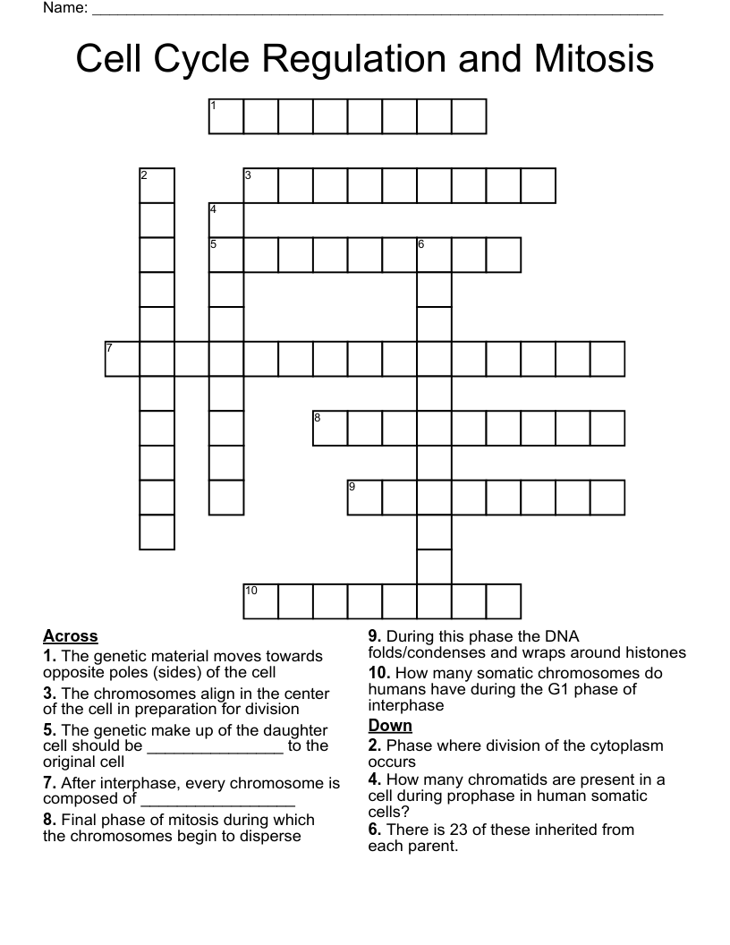 Cell Cycle Regulation and Mitosis Crossword