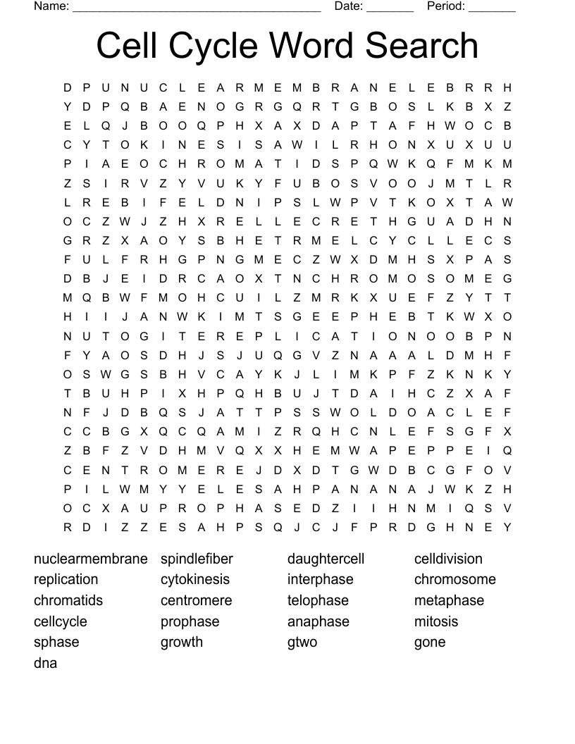 Cell Cycle Word Search