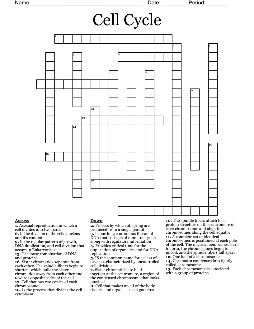 Cell Cycle  Crossword