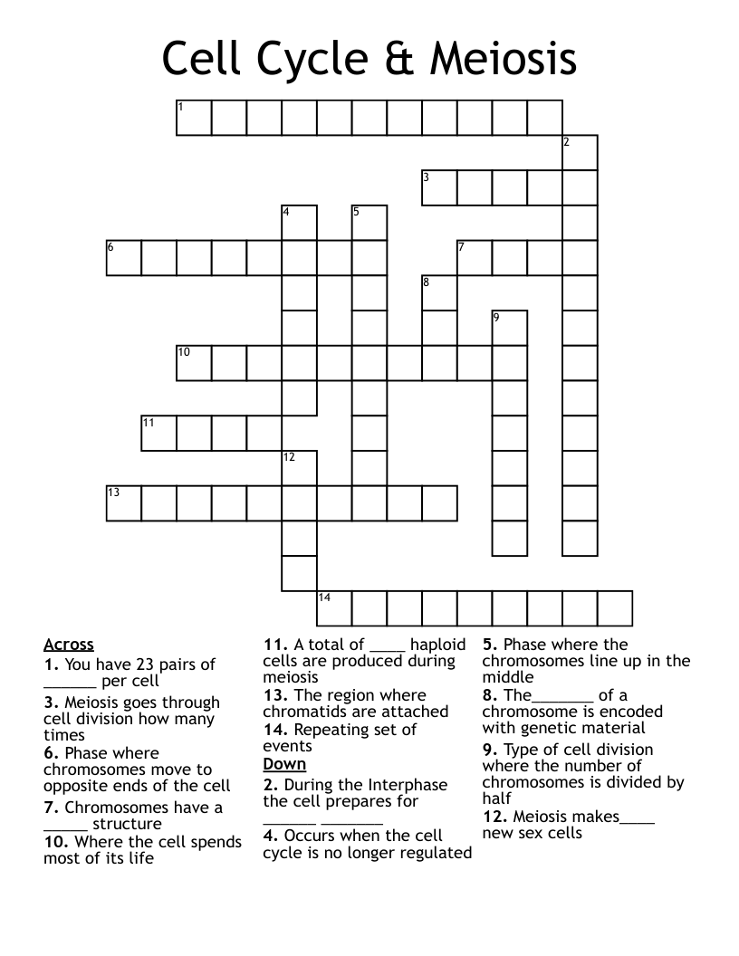 Cell Cycle & Meiosis Crossword