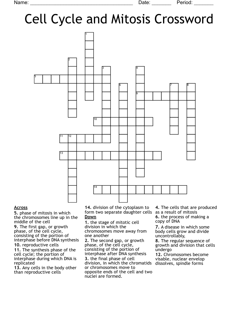 Cell Cycle and Mitosis Crossword