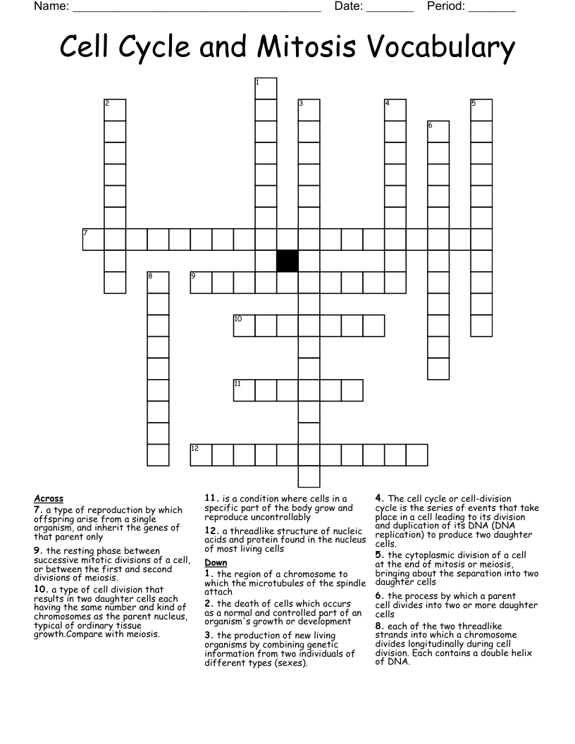 Cell Cycle and Mitosis Vocabulary Crossword