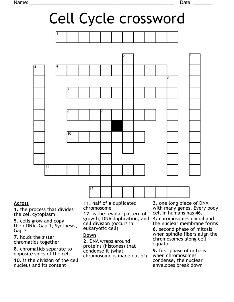 Cell Cycle crossword 