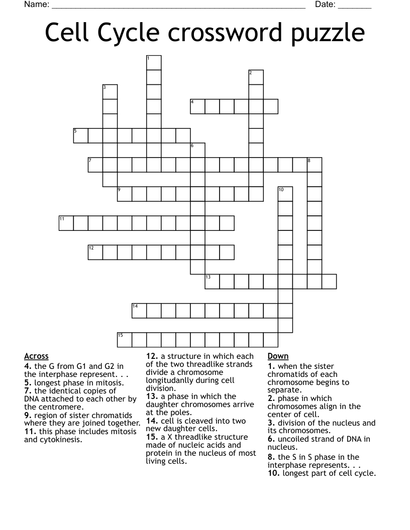 Cell Cycle crossword puzzle