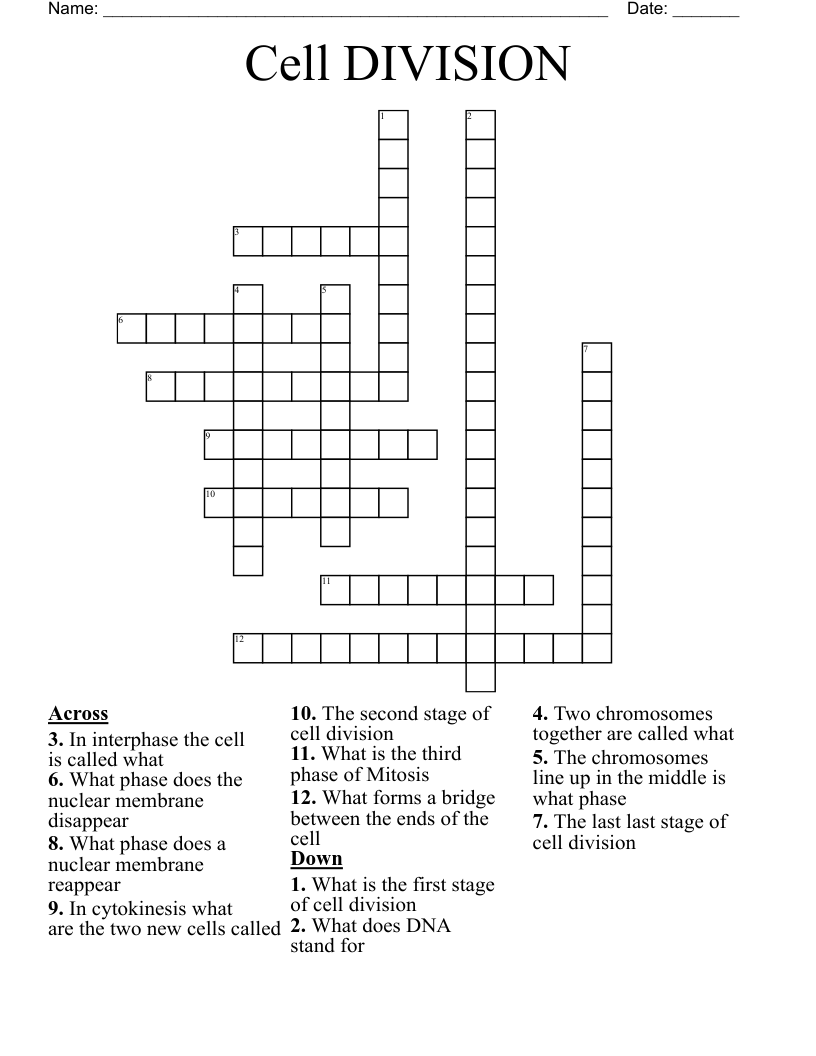 Cell DIVISION Crossword