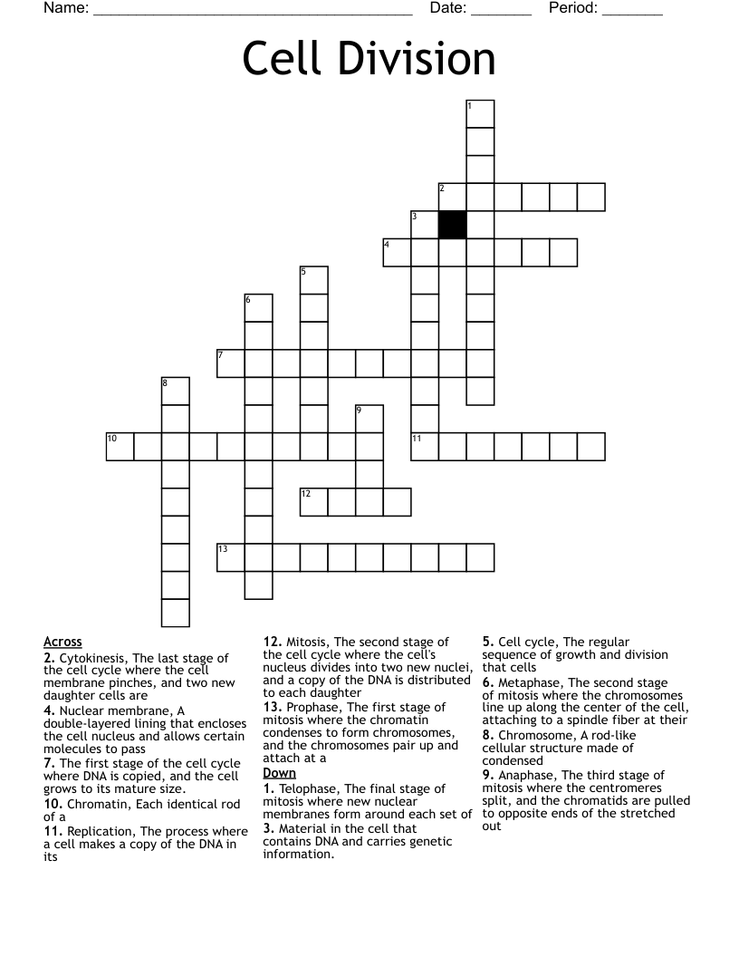 Cell Division Crossword