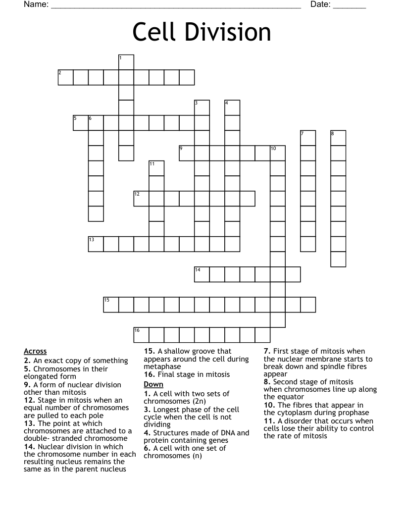 Cell Division Crossword