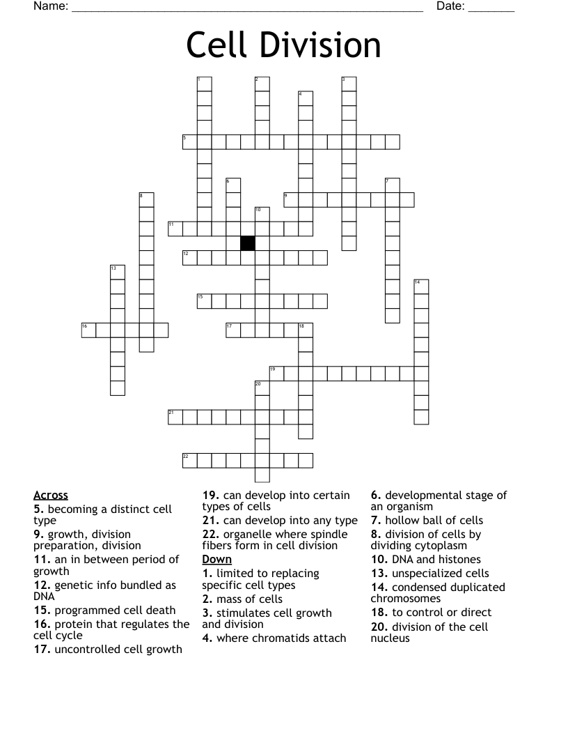 Cell Division Crossword
