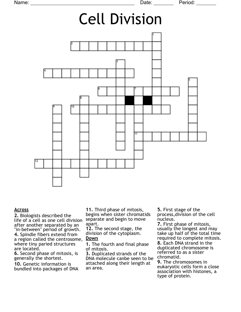 Cell Division Crossword