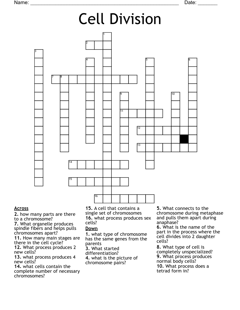 Cell Division Crossword