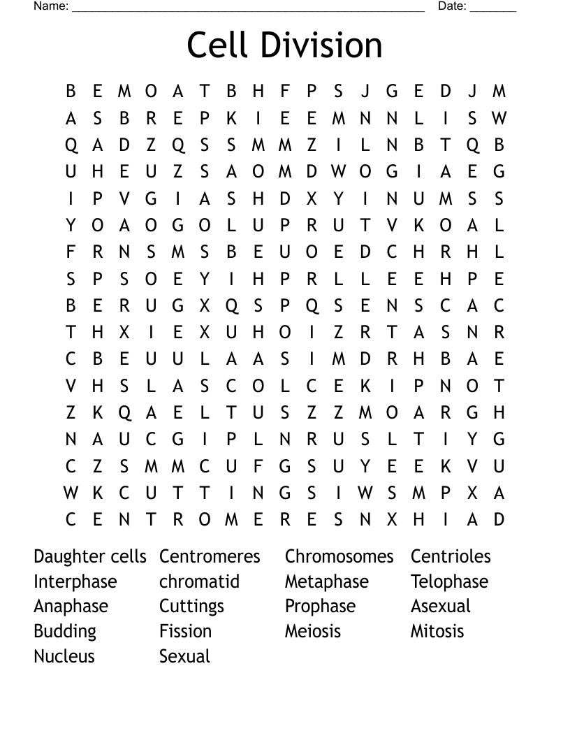 Cell Division Word Search