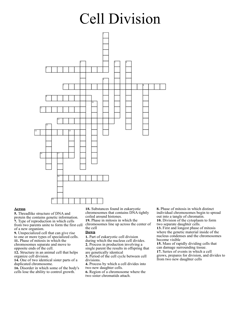 Cell Division Crossword