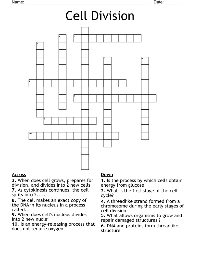 Cell Division Crossword