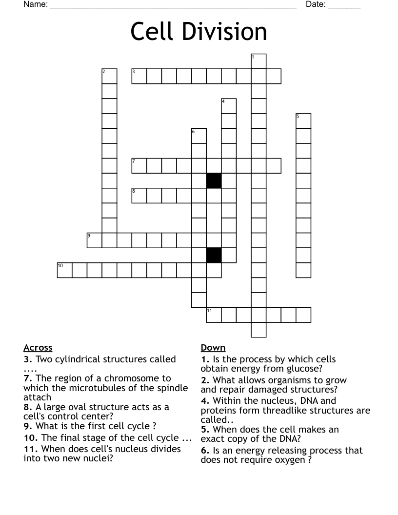 Cell Division Crossword