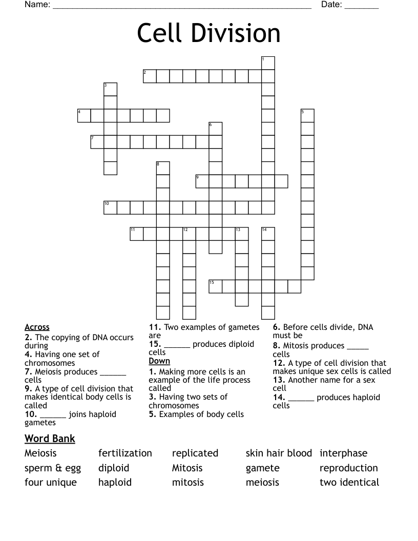 Cell Division Crossword