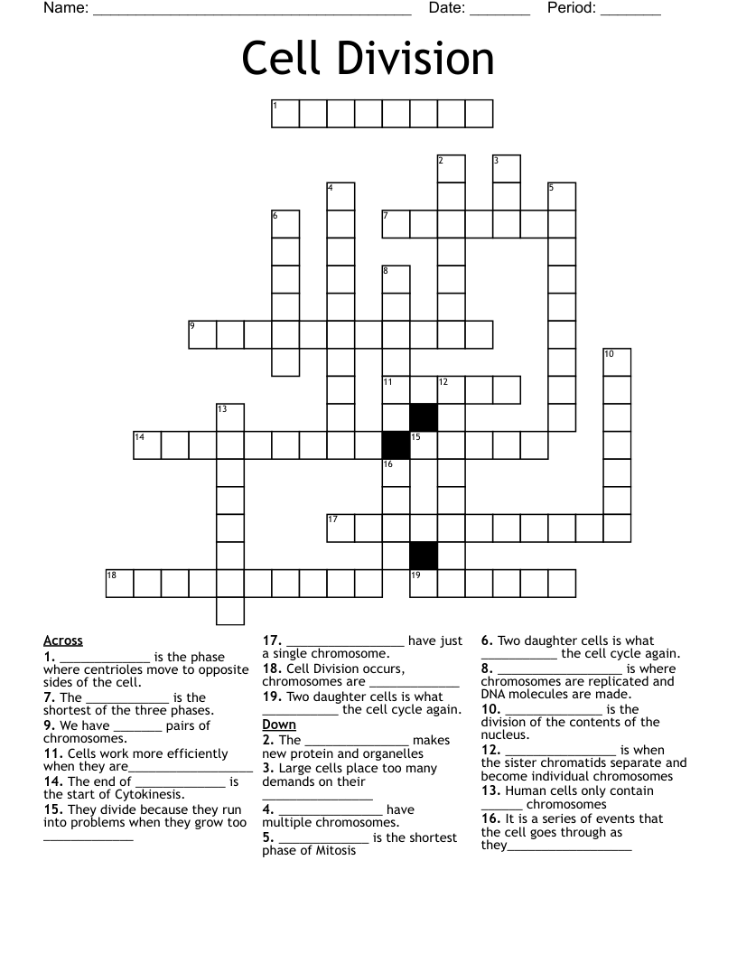 Cell Division Crossword