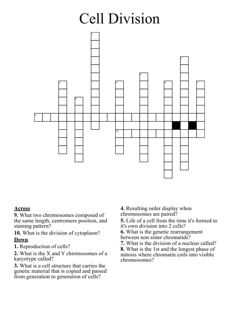 Cell Division Crossword