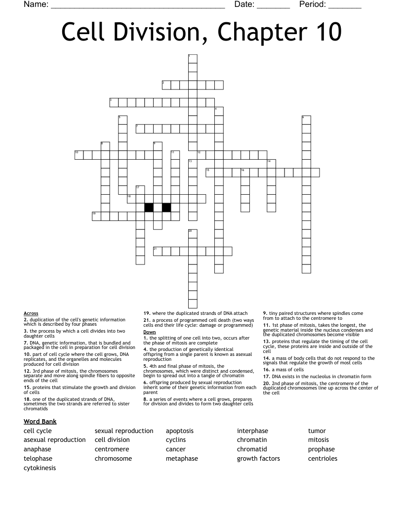 Cell Division, Chapter 10 Crossword