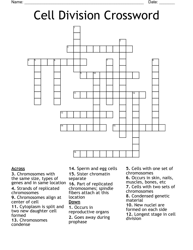 Cell Division Crossword