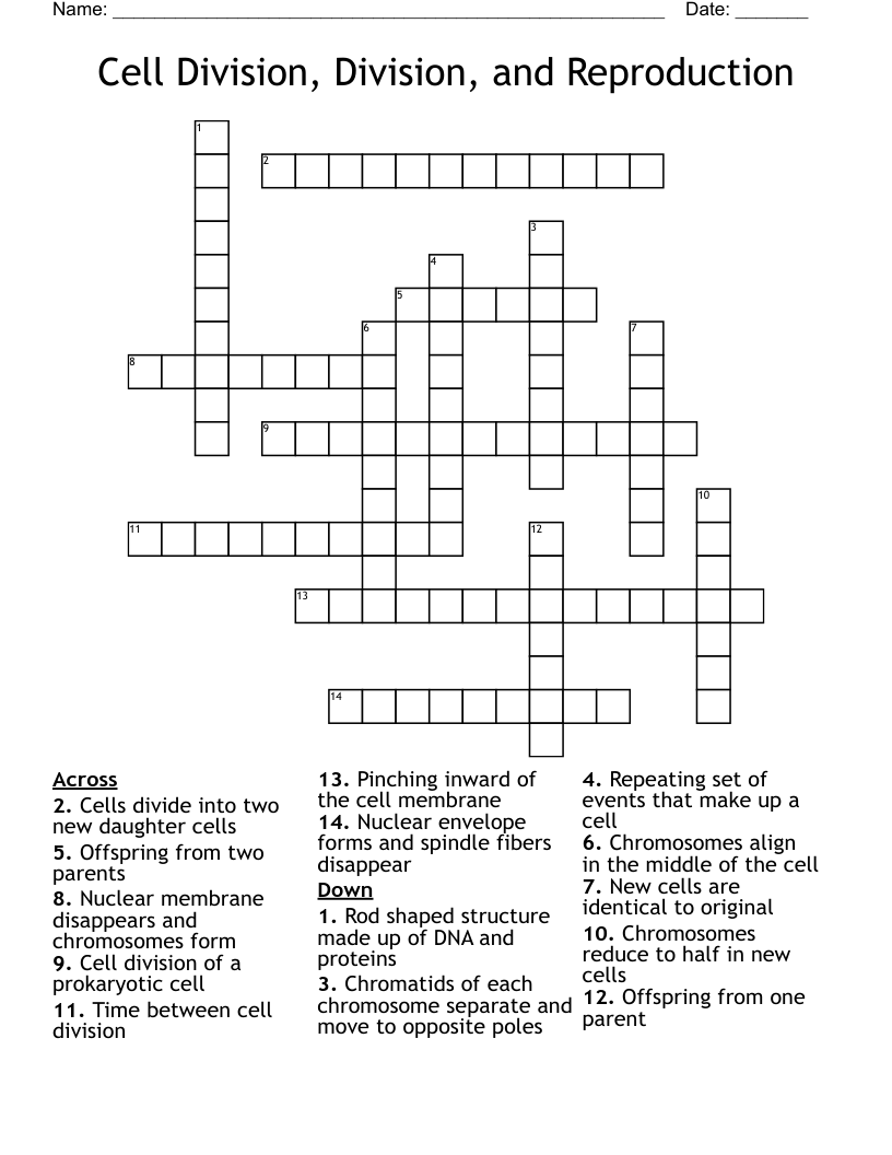 Cell Division, Division, and Reproduction  Crossword