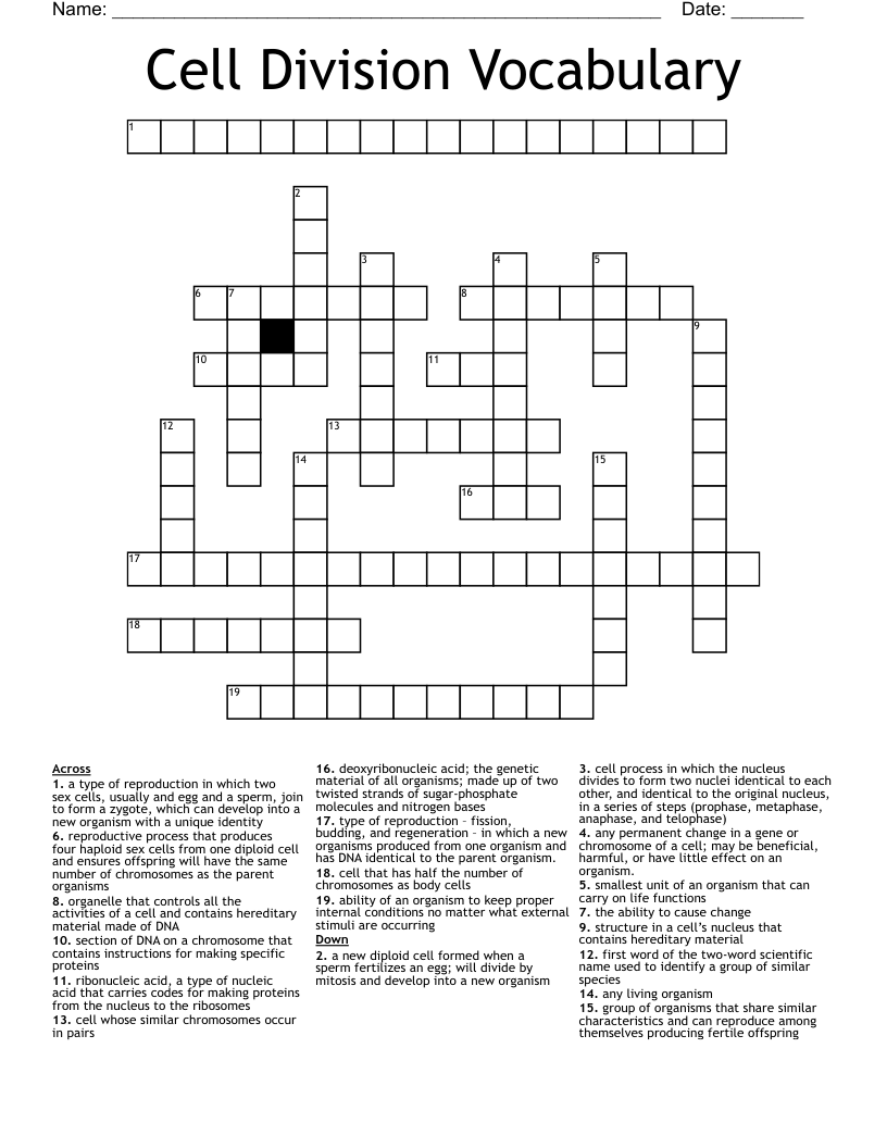 Cell Division Vocabulary Crossword