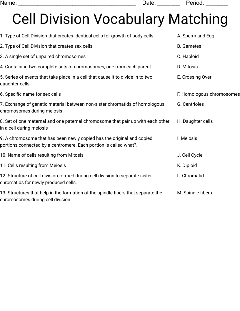 Cell Division Vocabulary Matching Worksheet