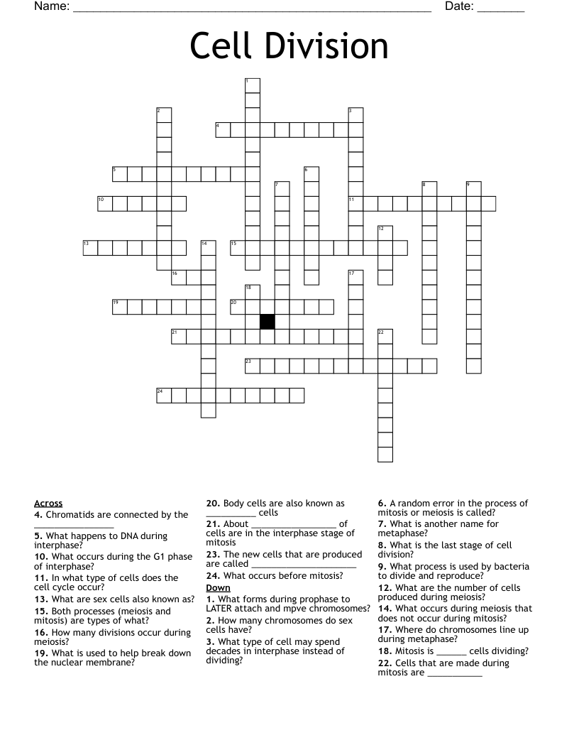 Cell Division  Crossword