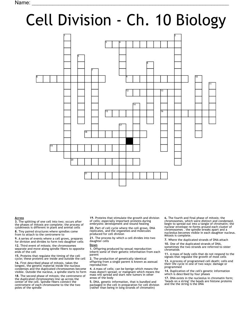 Cell Division - Ch. 10 Biology Crossword