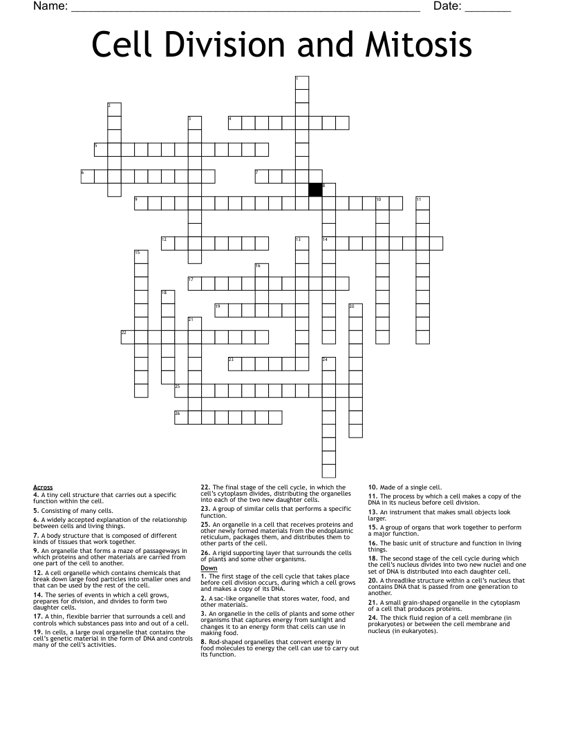 Cell Division and Mitosis Crossword
