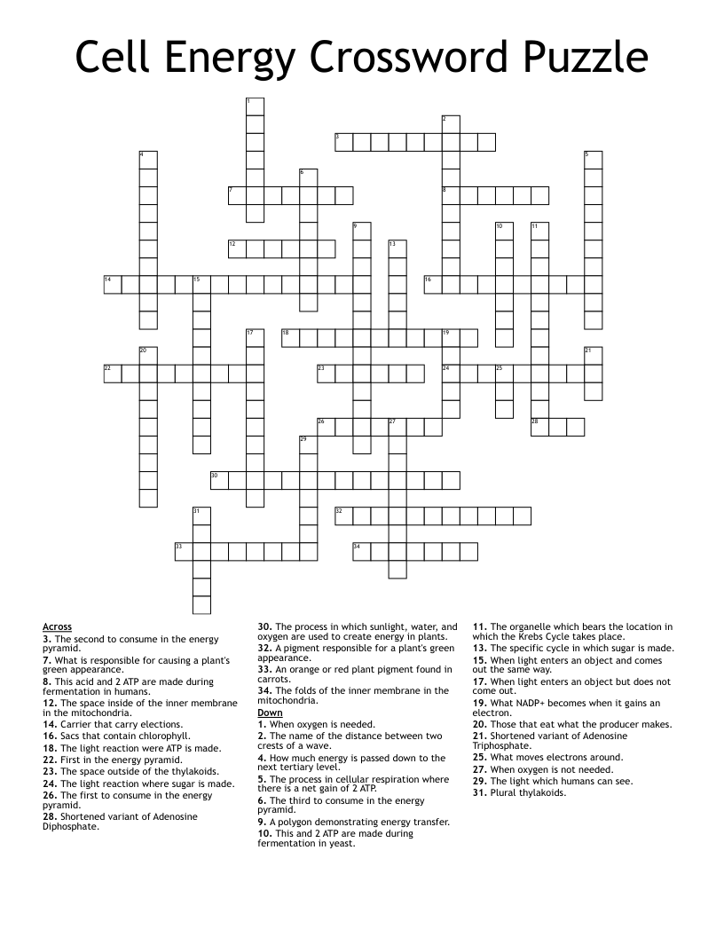 Cell Energy Crossword Puzzle