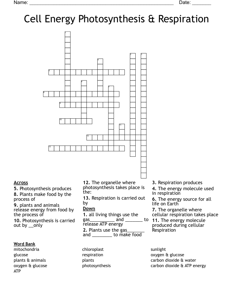 Cell Energy Photosynthesis & Respiration Crossword