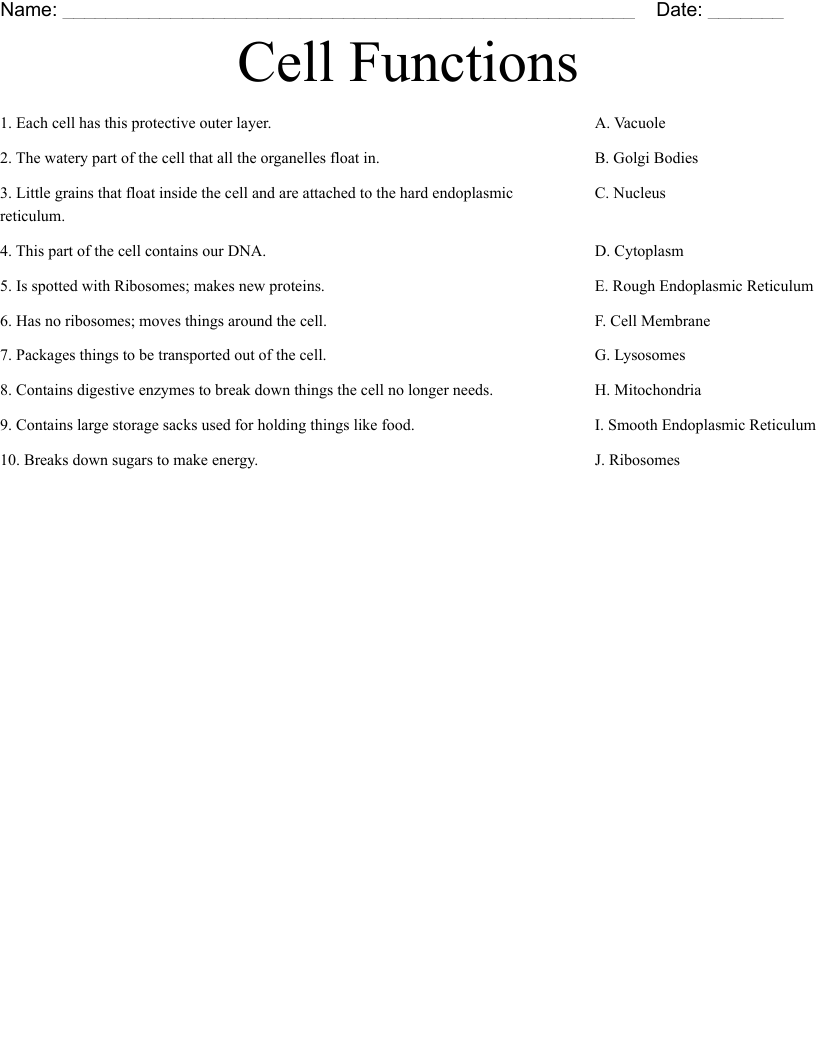 Cell Functions Worksheet