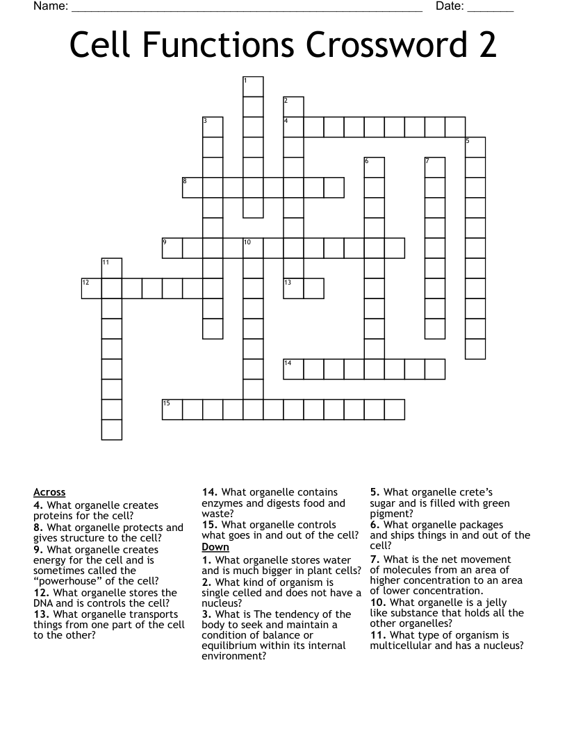 Cell Functions Crossword 2