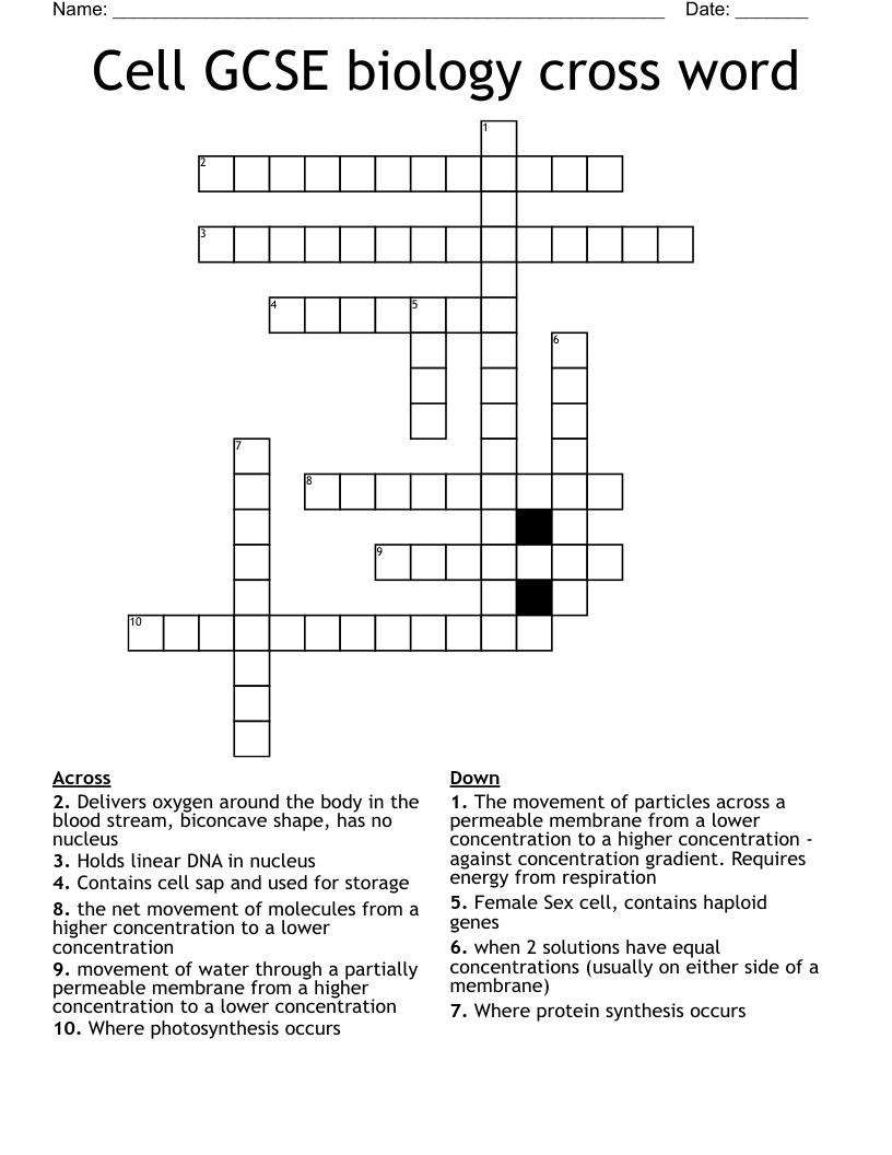Cell GCSE biology cross word