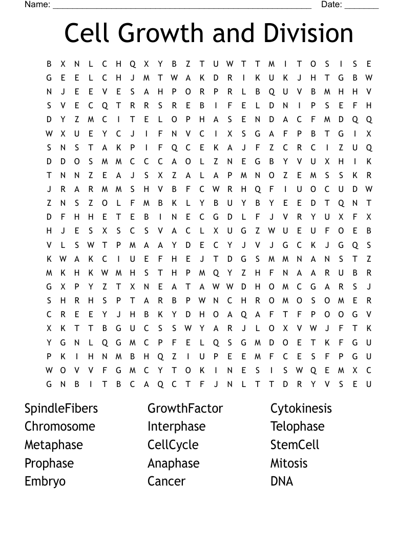 Cell Growth and Division Word Search