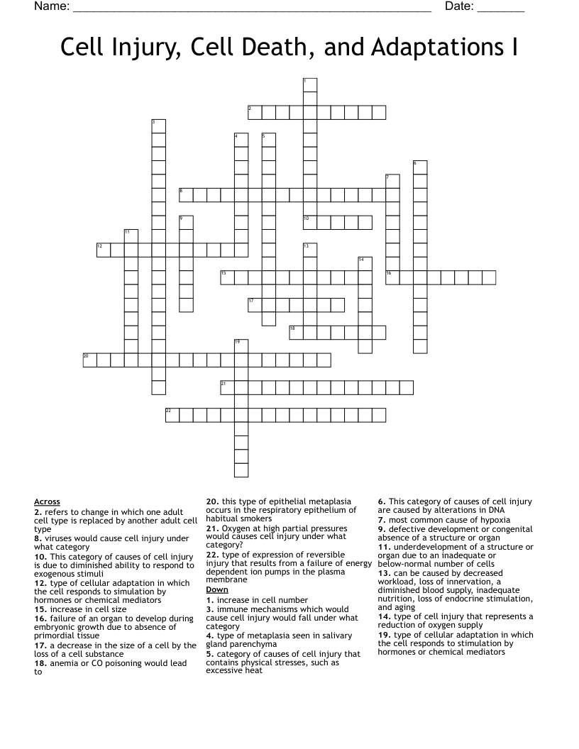 Cell Injury, Cell Death, and Adaptations I Crossword