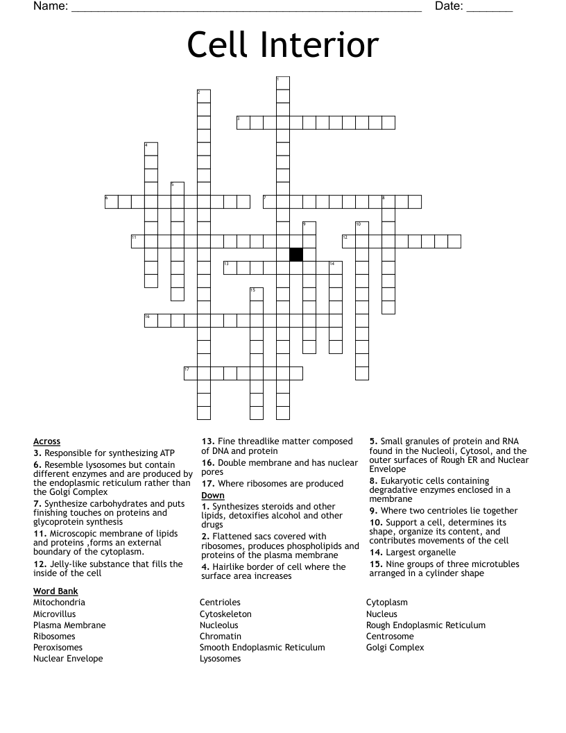 Cell Interior Crossword