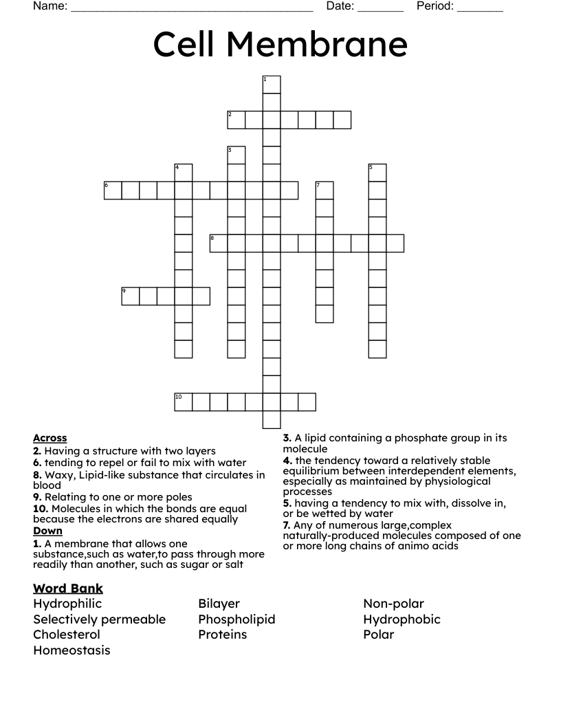 Cell Membrane Crossword