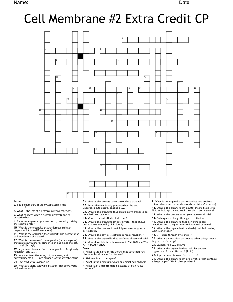 Cell Membrane #2 Extra Credit CP Crossword