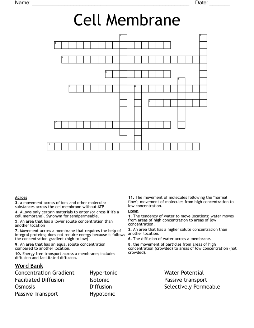 Cell Membrane Crossword