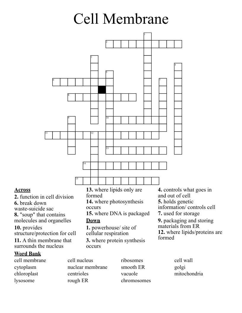 Cell Membrane Crossword