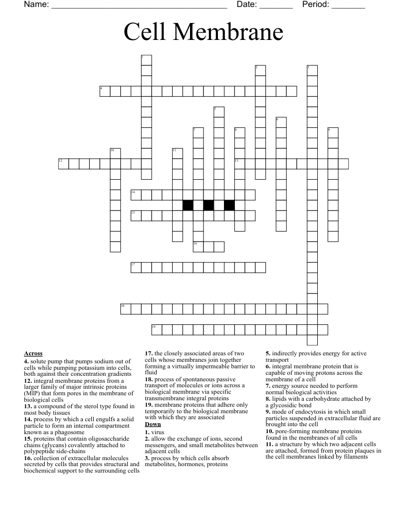 Cell Membrane Crossword