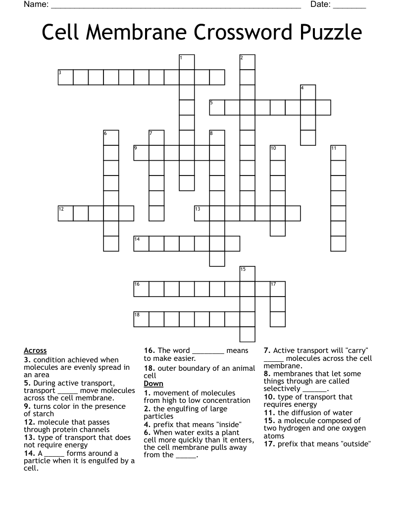 Cell Membrane Crossword Puzzle