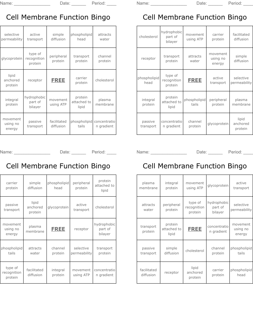 Cell Membrane Function Bingo