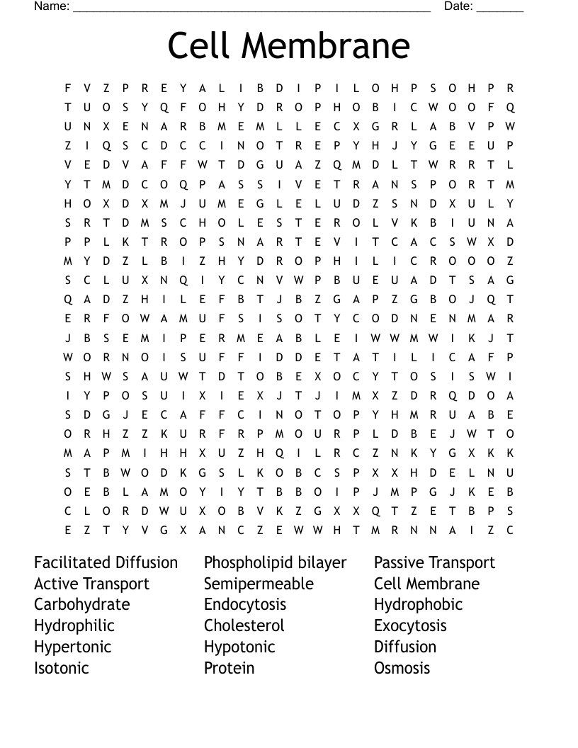 Cell Membrane  Word Search