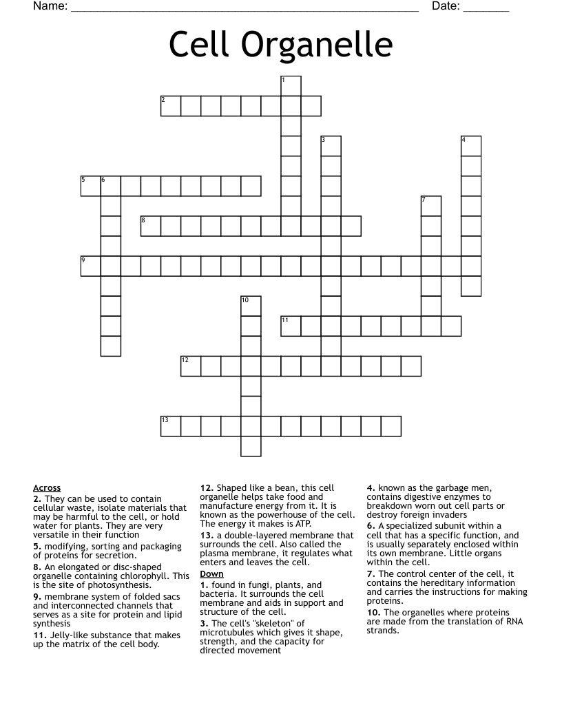 Cell Organelle Crossword