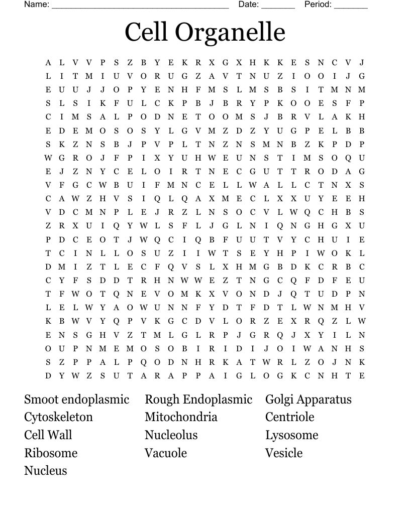 Cell Organelle Word Search